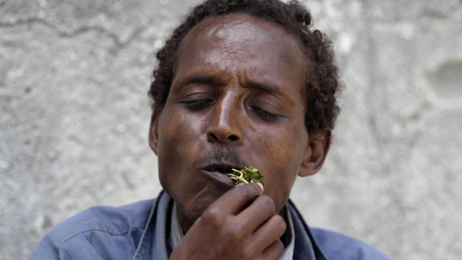 Somaliland Government Bans Khat Indefinitely The Daily Horn News