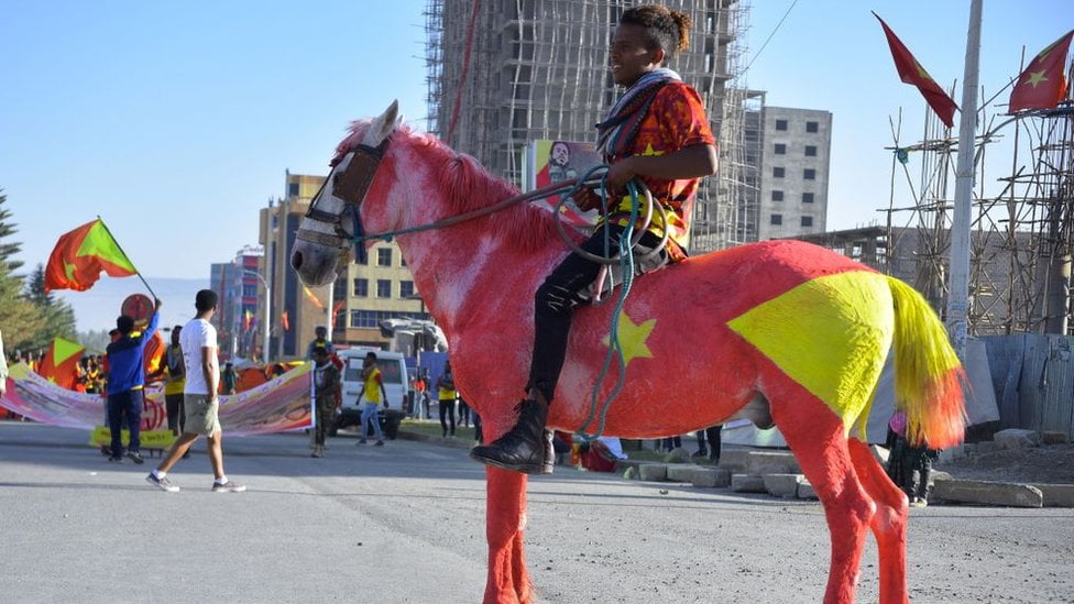 A Resident Of Mekelle Region Rides A Horse Painted In The Colours Of The Tigray Regional Flag As They Attend Celebrations Marking The 45th Anniversary Of The Launching Of The "armed Struggle Of The Peoples Of Tigray", On February 19, 2020, In Mekelle
