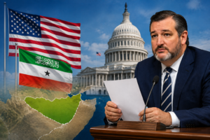 US Senator Calls for Separate U.S. Travel Advisory for Somaliland